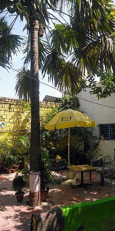 Zigzag Homestay アーグラ エクステリア 写真